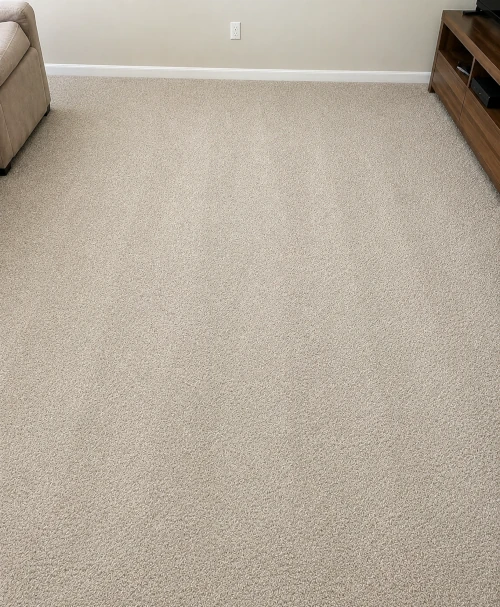 Living Room Carpet after DRX cleaning