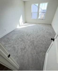 Carpet before move-out cleaning