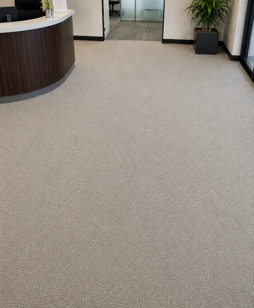 Office Lobby Carpet after DRX cleaning