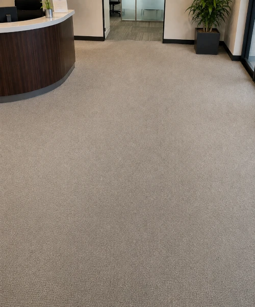 Office Lobby Carpet before cleaning