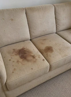 Sofa before cleaning